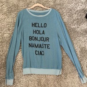 Blue Wildfox Sweater